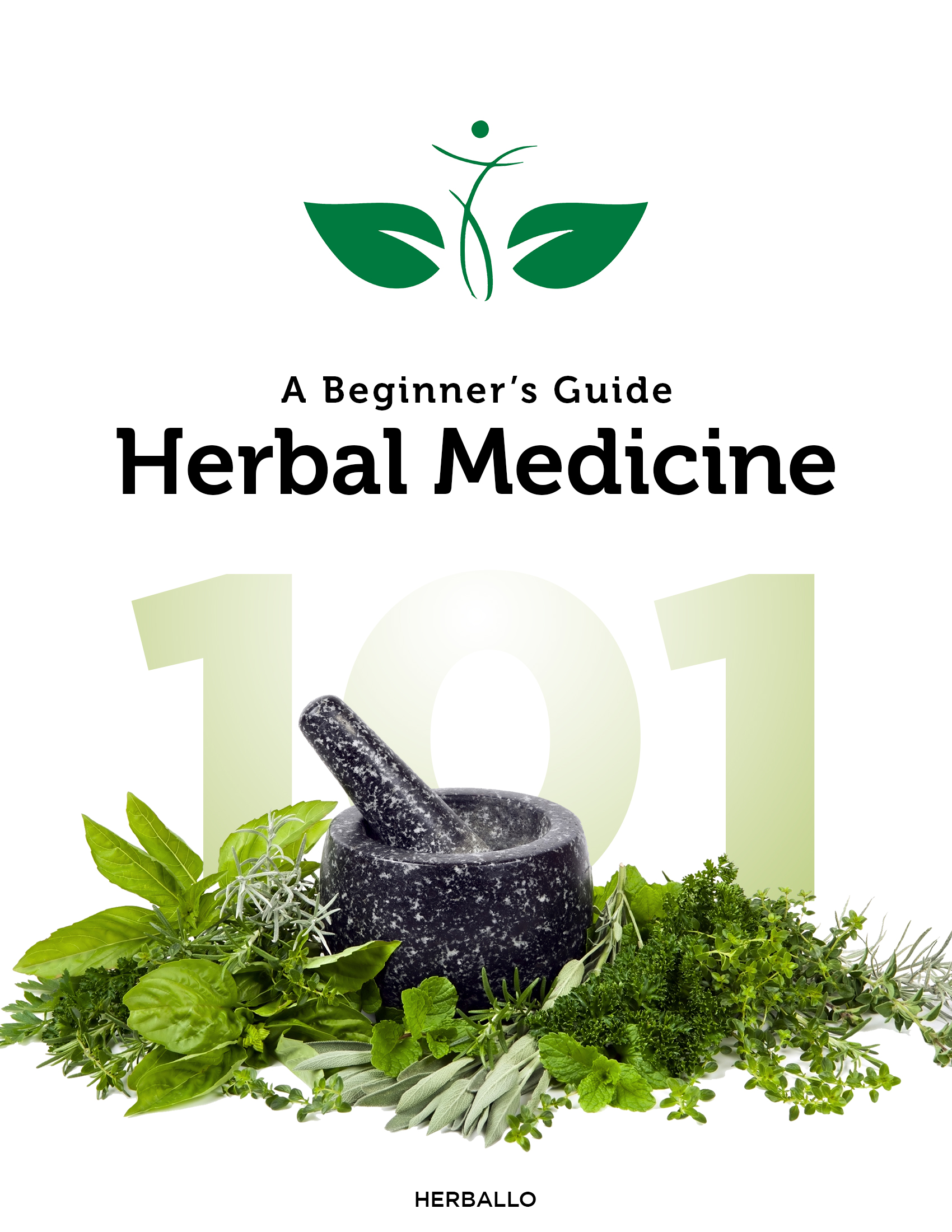 Herbal Medicine 101: Your Beginner's Guide